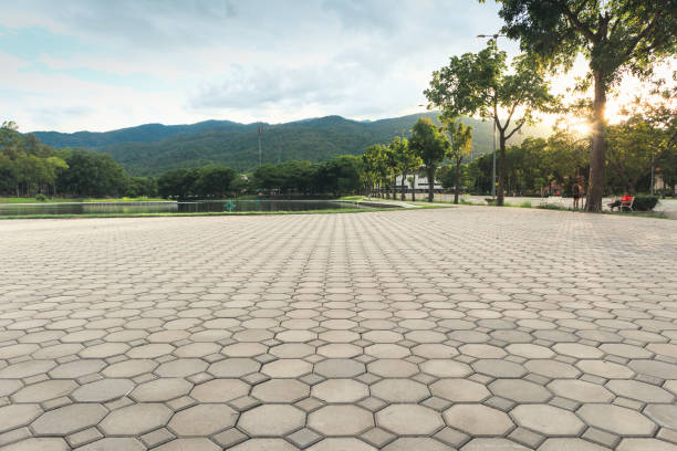 Best Decorative Driveway Pavers  in Rainelle, WV