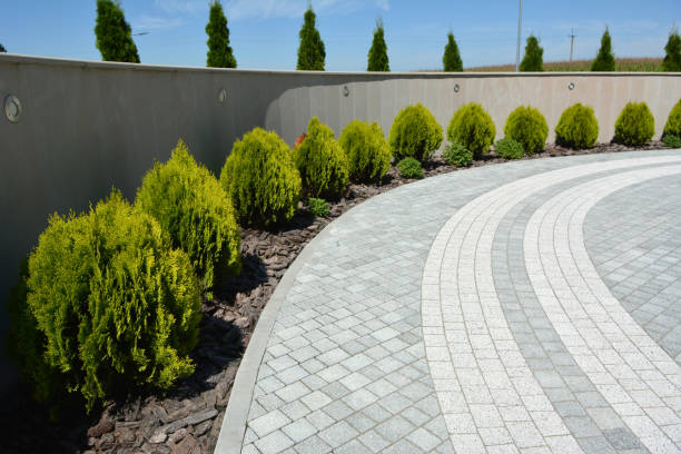 Best Local Driveway Pavers  in Rainelle, WV